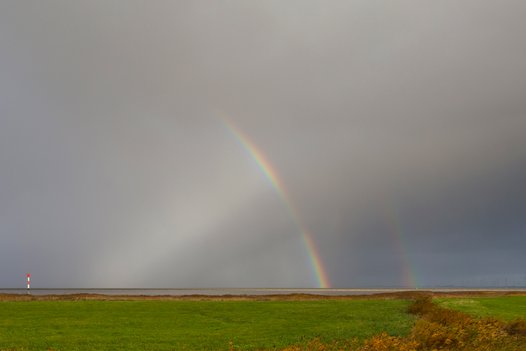 
    
            A landscape shot with sea mist and rainbow over a meadow in the lowlands.        
        
