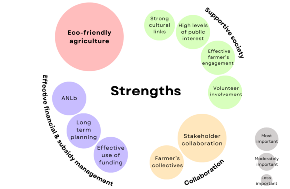 A graph listing themes and subthemes for strengths visualised in circles. Themes: Supportive society, collaboration, effective financial & subsidity management, eco-friendly agriculture. Circle sizes display importance.