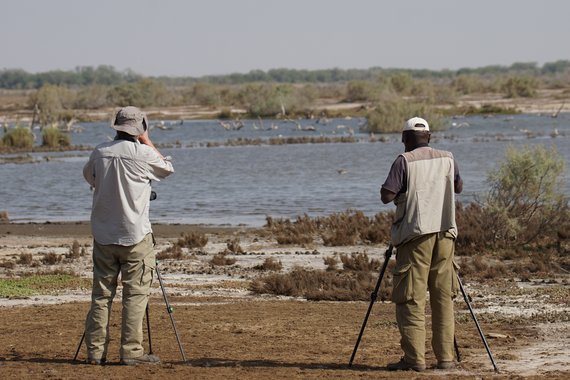 Two men stand in front of shallow water. Each of them has a tripod with a spotting scope.