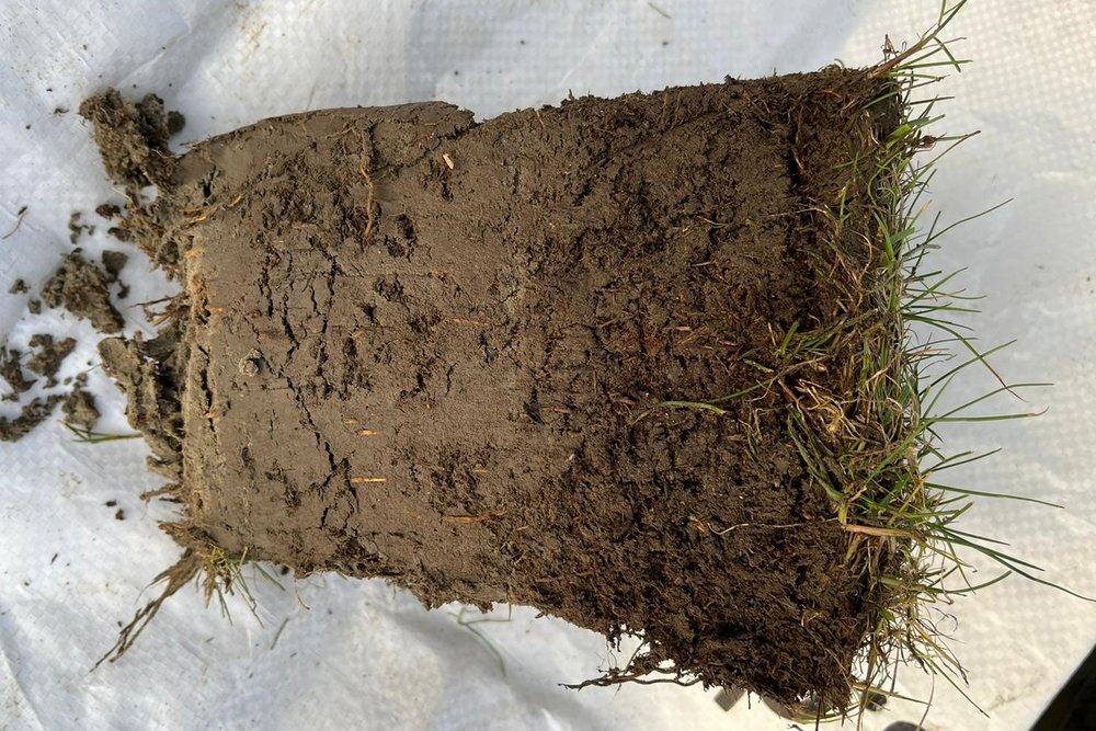 
    
            A cylindrical soil sample removed from the ground. At the top there is a relatively thin...        
        
