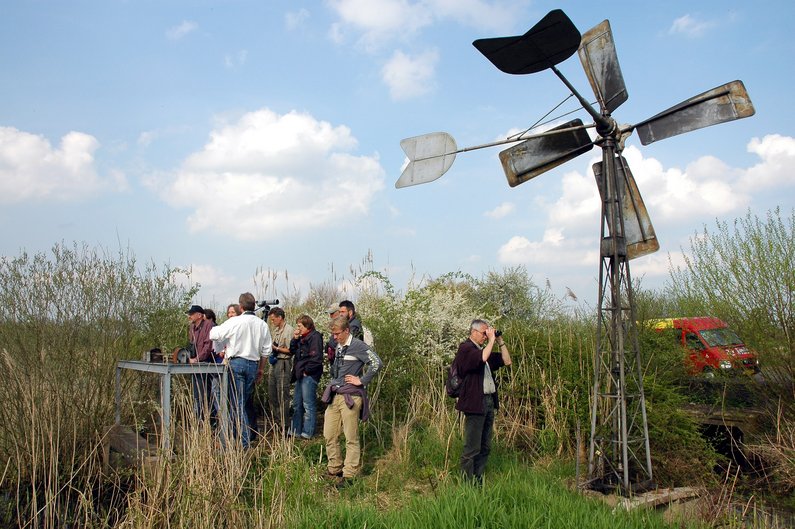 
    
            A group of people standing next to a wind pump in a field with high vegetation.        
        
