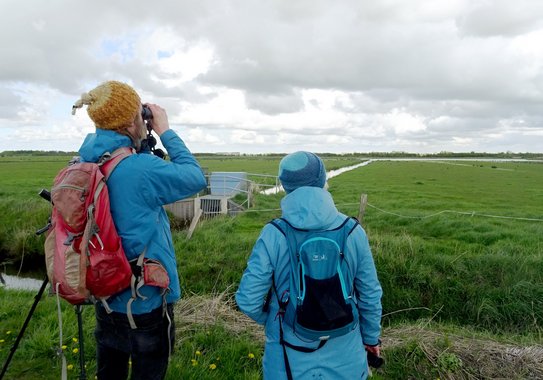 Two people in outdoor clothing standing with their backs to the camera. They are looking at open grassland. The person on the left is looking through binoculars.